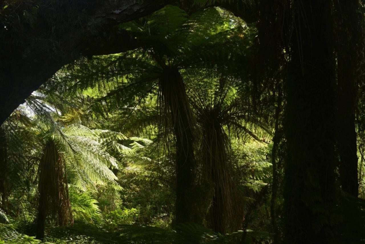 Wilderness Motel Accommodation Haast Bagian luar foto